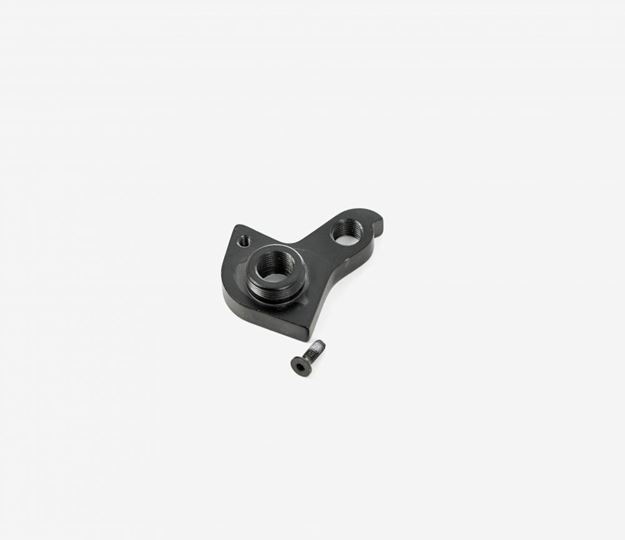 Picture of REAR DERAILLEUR HANGER Nº45 X1